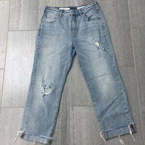 Pilcro and the Letterpress Relaxed Straight Distressed CLight Wash Jeans Size 29
